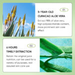 SADOER Aloe Vera Overnight Mask 4ml x 20pcs - Image 4