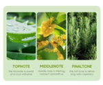 SADOER Aloe Vera Super Shine Repairing Hair Mask 10g Sheet Pack - Image 2